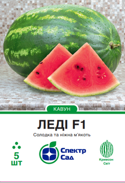 Кавун Леді F1 5 шт, СС 0978 фото