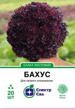 Салат Бахус 20 шт, СС 1043 фото
