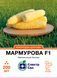 Кукурудза Мармурова F1 суперсолодка 200 шт, СС 4280 фото 1