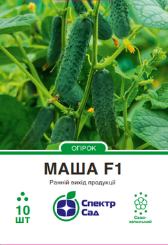Огірок Маша F1 10 шт, СС 0657 фото