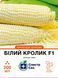 Кукурудза Білий кролик F1 суперсолодка 200 шт, СС 4228 фото 1