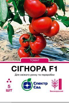 Томат Сігнора F1 5 шт, СС 3986 фото