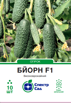 Огірок Бйорн F1 10 шт, СС 2163 фото