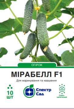 Огірок Мірабела F1 10 шт, СС 2767 фото