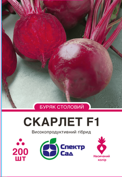 Буряк столовий Скарлет F1 200 шт, СС 1517 фото