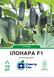 Огірок Ілонара F1 10 шт, СС 2354 фото 1