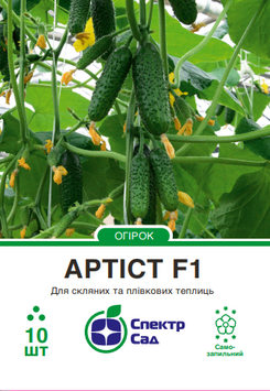 Огірок Артіст F1 10 шт, СС 0138 фото