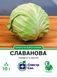 Капуста білоголова Славанова 10 г, СС 2682 фото 1