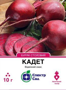 Буряк столовий Кадет 10 г, СС 2637 фото