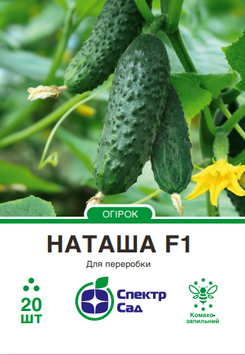 Огірок Наташа F1 20 шт, СС 0671 фото