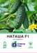 Огірок Наташа F1 20 шт, СС 0671 фото 1