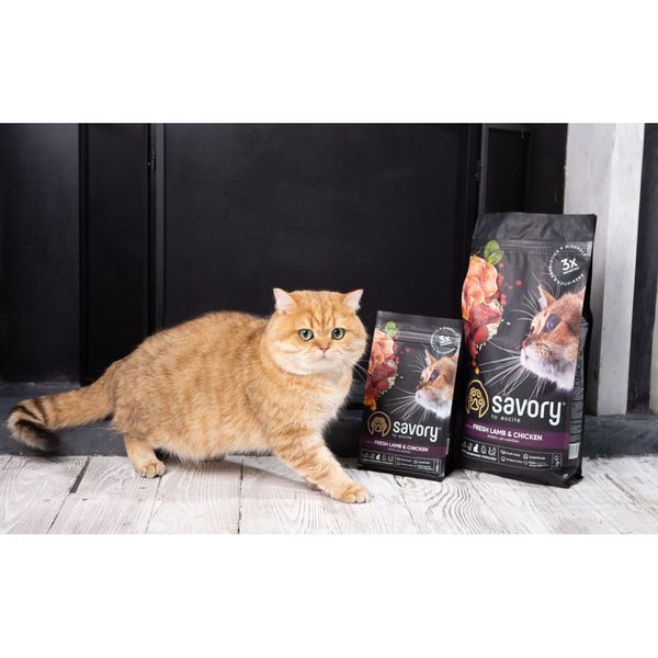 Корм SAVORY сухий для стерилізованих котів зі свіжим ягням та куркою 2 кг 30112 фото