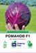 Капуста червоноголова Романов F1, 20 шт, Спектр Сад 301333 фото 1
