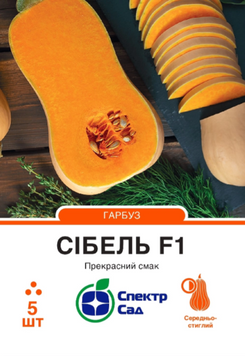Гарбуз Сібель F1, 5 шт, Спектр Сад 303153 фото