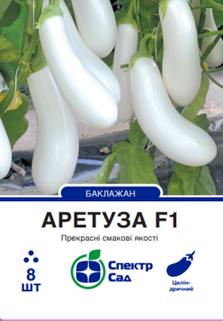 Баклажан Аретуза F1 8 шт, СС 14337 фото