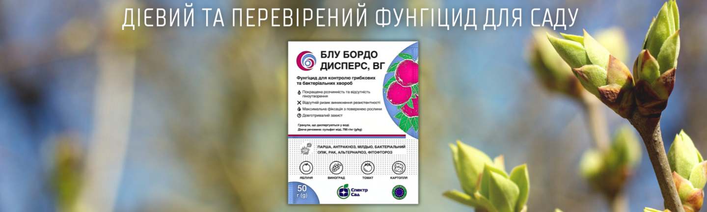 Головний банер 1440 х 576 (2)