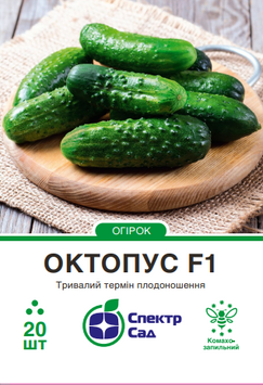 Огірок Октопус F1 20 шт, СС 0497 фото