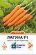 Морква Лагуна F1 400 шт, Спектр Сад 14277 фото 1