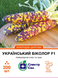 Кукурудза Український біколор F1 суперсолодка 200 шт, СС 304334 фото 1