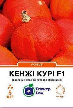 Гарбуз Кенжі Курі F1 5 шт, СС 2903 фото