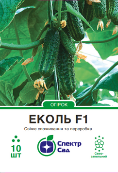 Огірок Еколь F1 10 шт, СС 0459 фото