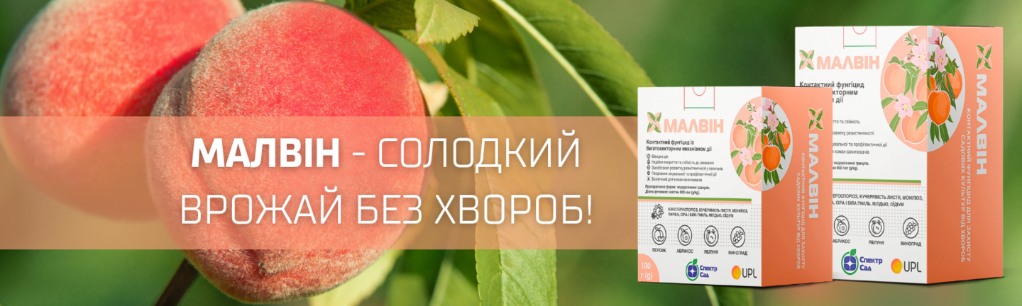 Головний банер 1440 х 576 (5)