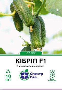 Огірок Кібрія F1 10 шт, СС 0763 фото