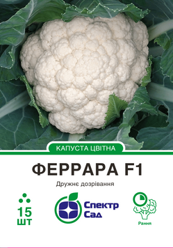 Капуста цвітна Феррара F1 15 шт, СС 1401 фото