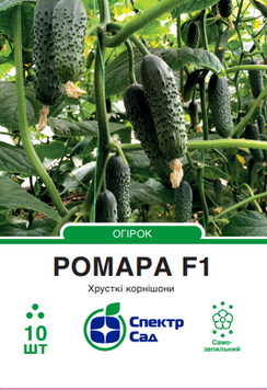 Огірок Ромара F1 10 шт, СС 2378 фото