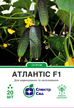 Огірок Атлантіс F1 20 шт, СС 0244 фото