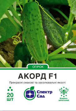 Огірок Акорд F1 20 шт, СС 0404 фото