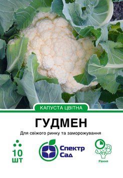 Капуста цвітна Гудмен 10 шт, СС 0374 фото