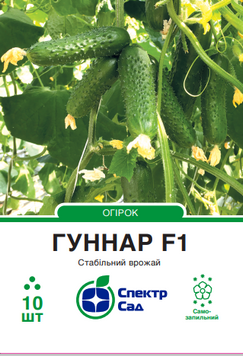 Огірок Гуннар F1 10 шт, СС 1760 фото
