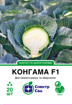 Капуста білоголова Конгама F1 20 шт, СС 2361 фото