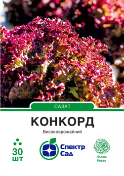 Салат лолло росса Конкорд 30 шт, СС 3177 фото