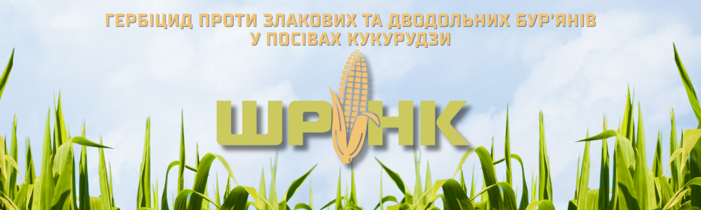 Головний банер 1440 х 576 (4)