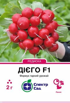 Редиска Дієго F1 2 г, СС 1159 фото