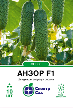 Огірок Анзор F1 10 шт, СС 0121 фото