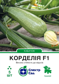 Кабачок Корделія F1 5 шт, СС 3825 фото