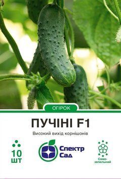 Огірок Пучіні F1 10 шт, СС 0787 фото