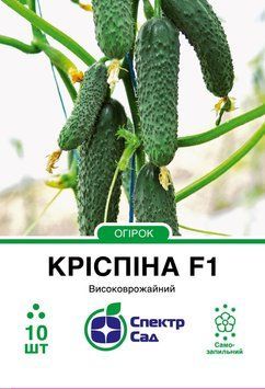 Огірок Кріспіна F1 10 шт, СС 0947 фото