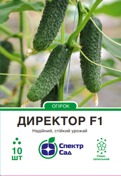 Огірок Директор F1 10 шт, СС 0909 фото