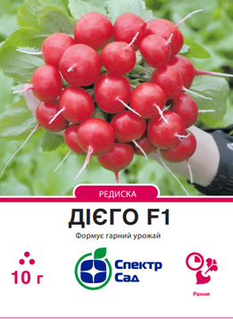 Редиска Дієго F1 10 г, СС 2484 фото