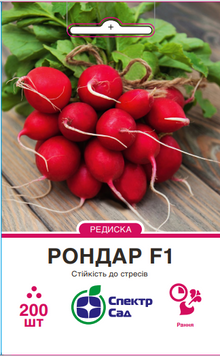 Редиска Рондар F1 200 шт, СС 0534 фото
