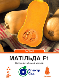 Гарбуз Матільда F1 5 шт, Спектр Сад 302927 фото
