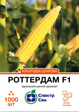 Кукурудза Роттердам F1 суперсолодка 1000 шт, СС 304303 фото