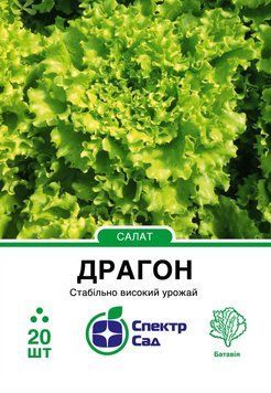 Салат батавія Драгон 20 шт, СС 1166 фото