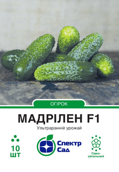 Огірок Мадрілен F1 10 шт, СС 3856 фото