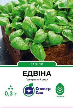 Базилік Едвіна 0,3 г, СС 3092 фото