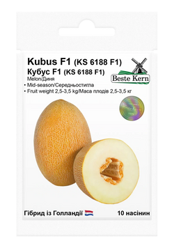Диня Кубус (KS 6188) F1 10 шт, ТМ Bestе Kern 1345 фото